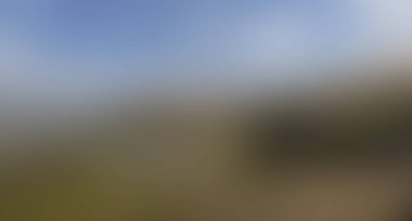 abstract blur background of colors mixed 