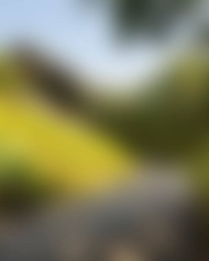 Renklerin bulanık arkaplanı soyut 