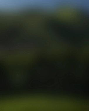 Renklerin bulanık arkaplanı soyut 