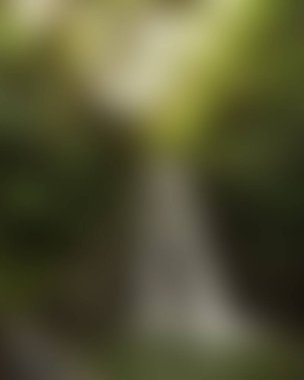 Renklerin bulanık arkaplanı soyut 