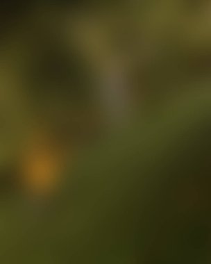 Renklerin bulanık arkaplanı soyut 