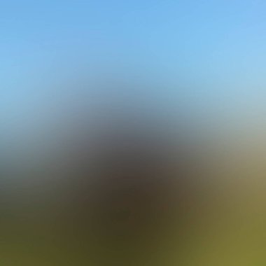 Abstract blur background of colors mixed 