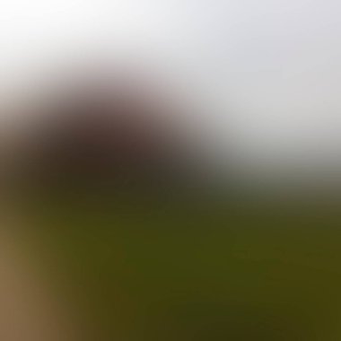 Abstract blur background of colors mixed 