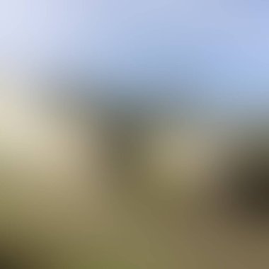 Abstract blur background of colors mixed 