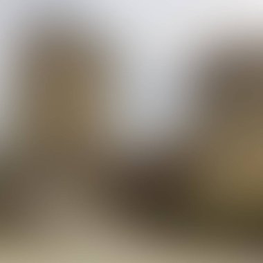 Abstract blur background of colors mixed 