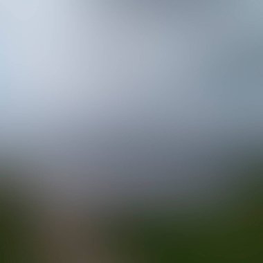 Abstract blur background of colors mixed 