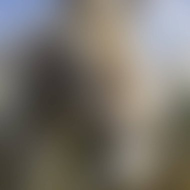 Abstract blur background of colors mixed 