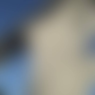 Abstract blur background of colors mixed 