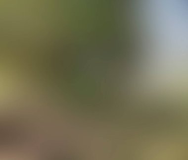 abstract blur background of colors mixed 