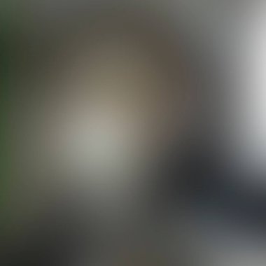 Abstract blur background of colors mixed 