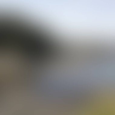 Abstract blur background of colors mixed 