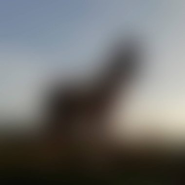 abstract blur background of colors mixed 