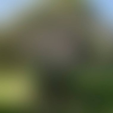 abstract blur background of colors mixed 