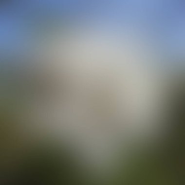 abstract blur background of colors mixed 