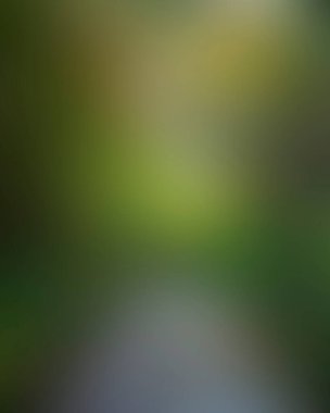 Abstract blur background of colors mixed 