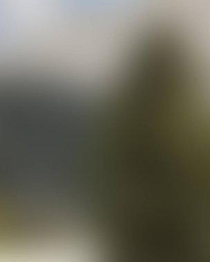 Abstract blur background of colors mixed 