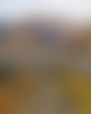 Abstract blur background of colors mixed 