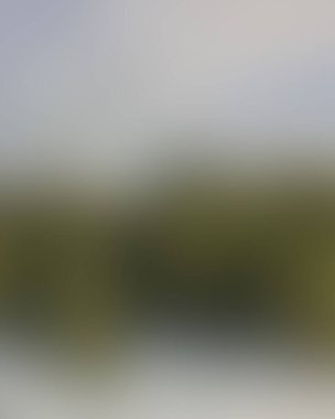 Abstract blur background of colors mixed 