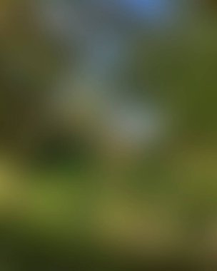 Abstract blur background of colors mixed 