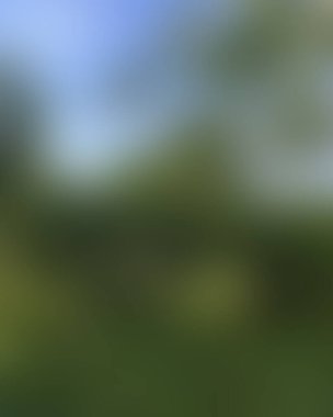 Abstract blur background of colors mixed 