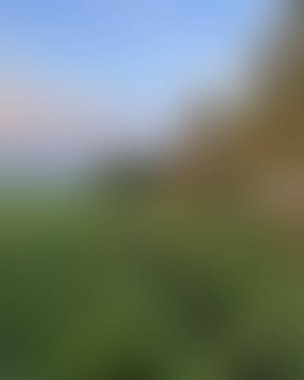 Abstract blur background of colors mixed 