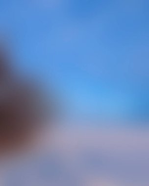 Abstract blur background of colors mixed 