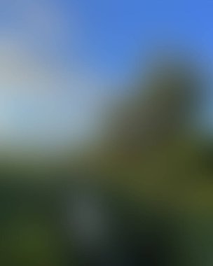 Abstract blur background of colors mixed 