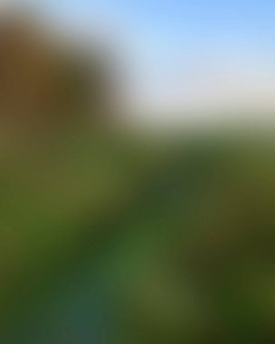 Abstract blur background of colors mixed 