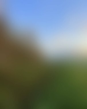 Abstract blur background of colors mixed 