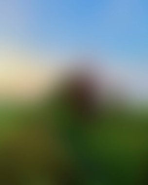 Abstract blur background of colors mixed 