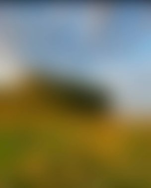 Abstract blur background of colors mixed 