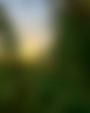 Abstract blur background of colors mixed 