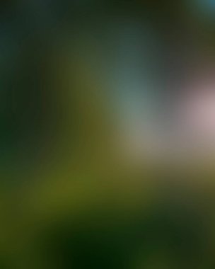 Abstract blur background of colors mixed 