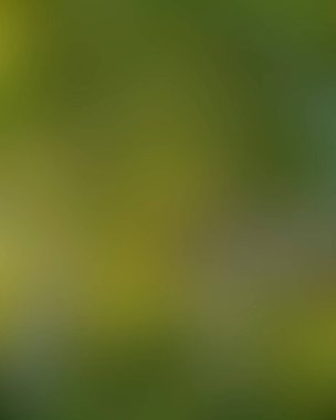 Abstract blur background of colors mixed 