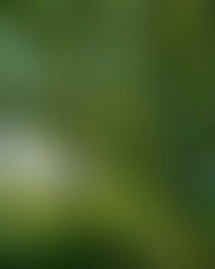 Abstract blur background of colors mixed 