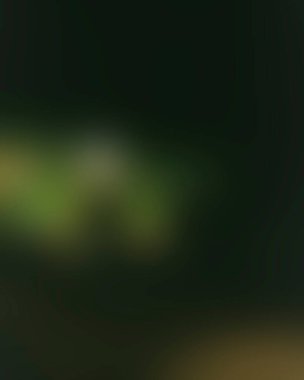 Abstract blur background of colors mixed 