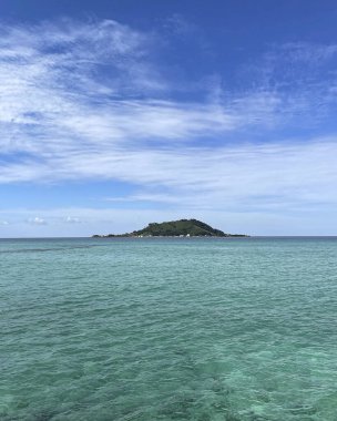 Doğa ve şehir manzarası 