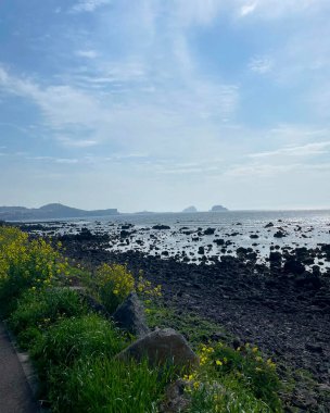 Doğa ve şehir manzarası 