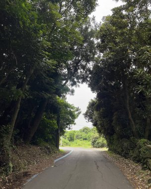 Doğa ve şehir manzarası 