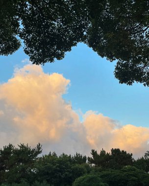 Doğa ve şehir manzarası 