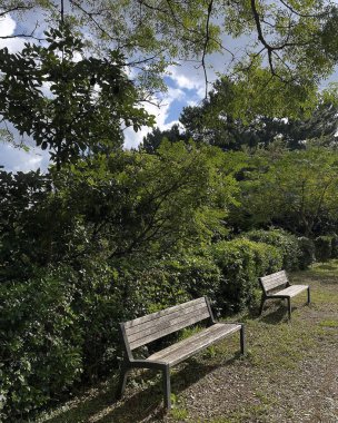 Doğa ve şehir manzarası 