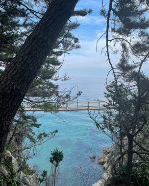 Kayalarla dolu güzel bir denizin yakın çekimi.