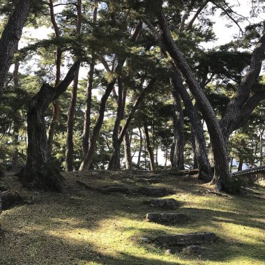 Parkın güzel manzarası