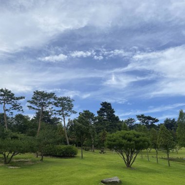 Parkın güzel manzarası