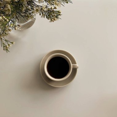 Bir fincan sade kahve ve beyaz kahve çekirdekleri..