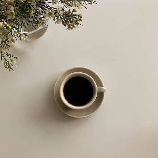 Bir fincan sade kahve ve beyaz kahve çekirdekleri..