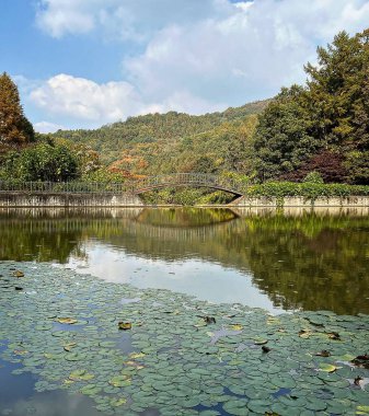 Sonbaharda kalenin Japon bahçesi..