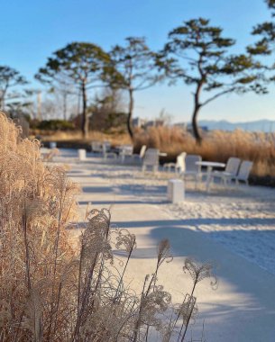 Doğanın güzel manzarası