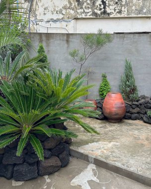 Parkın güzel manzarası