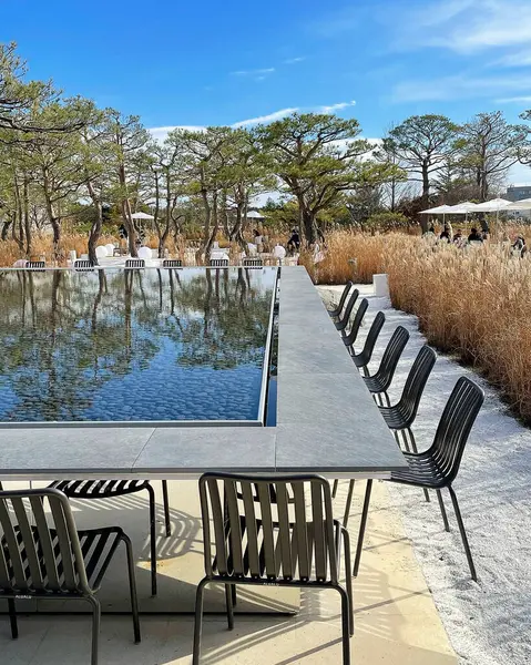 Arkasında bir göl olan güzel bir manzara.